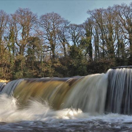 Wensleydale Halls Лейберн Екстер'єр фото
